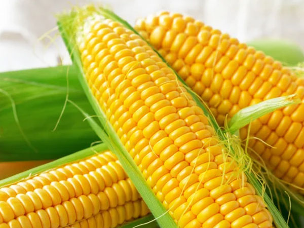 Top 5 thực phẩm ăn vào buổi sáng giúp nhân đôi tuổi thọ, lại rẻ tốt gấp vạn lần bún phở