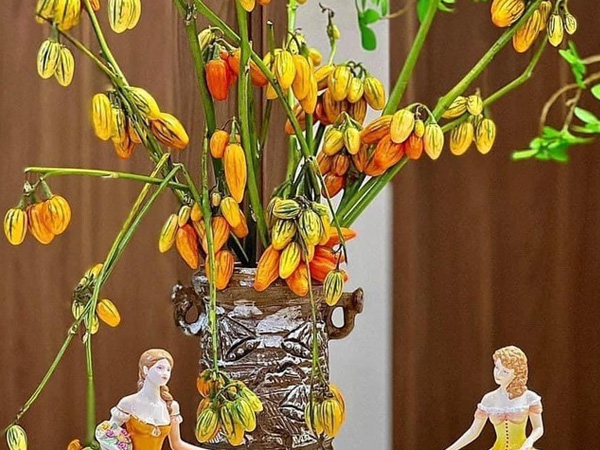 Mới lạ cành quả cắm bình đang 'làm mưa, làm gió' trên thị trường