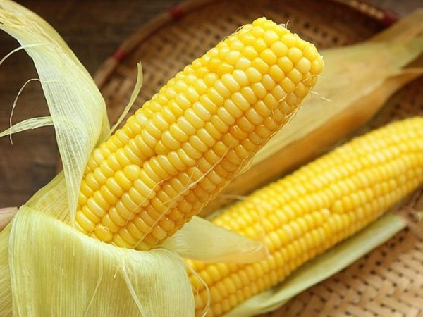 Ăn ngô buổi sáng, cơ thể tận thu 10 lợi ích sức khỏe nhưng những người có dấu hiệu sau nên hạn chế ăn