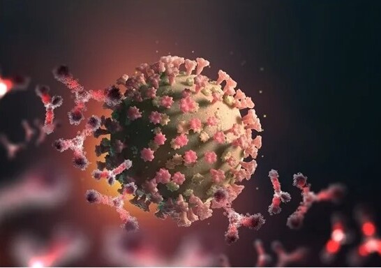 Mỹ phản pháo vụ tạo virus COVID-19 lai gây tử vong 80%