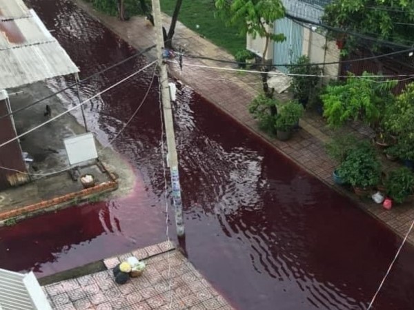 TP HCM chưa xác định nguyên nhân dòng nước màu đỏ ngập 2 tuyến đường