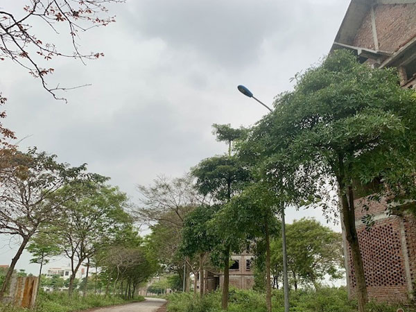 Đống tiền chôn trong đất bỏ hoang, Hà Nội quyết thu hồi hàng loạt dự án