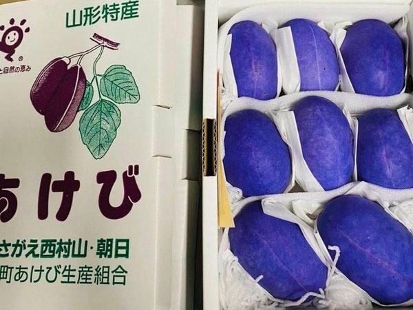 Hà Nội: Nho tím khổng lồ có giá gần nửa triệu đồng/quả