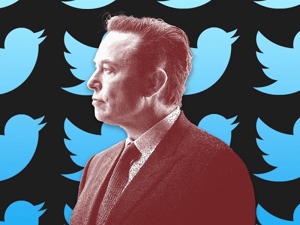 Elon Musk đang điều hành Twitter và những công ty nào?