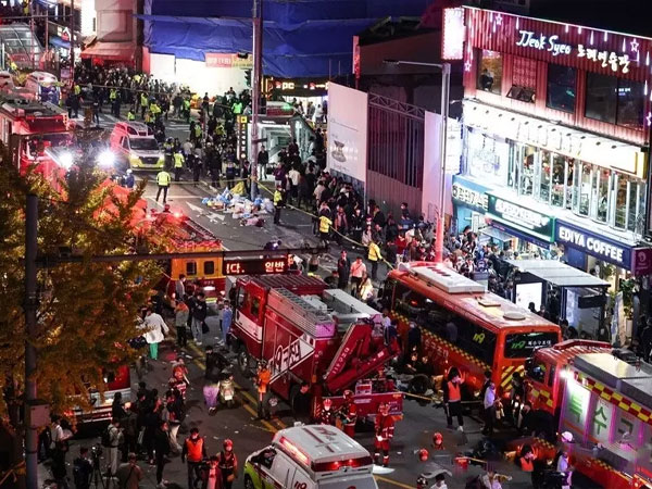 Thảm kịch giẫm đạp Itaewon bắt nguồn từ gã đeo tai thỏ