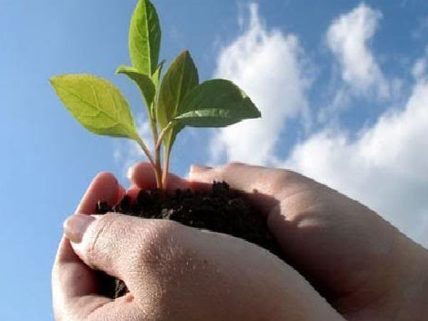 Tâm sự của cô bé về câu chuyện 'học tài thi phận' và sự thật xót xa khiến ai đọc cũng rơi nước mắt