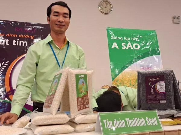 Gạo ST25 bị soán ngôi 'gạo ngon Việt Nam'