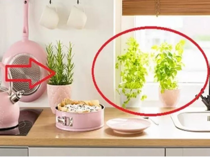 Bếp tụ tài đón lộc: Có 2 thứ đại cát, cuối năm làm gì cũng gặp may