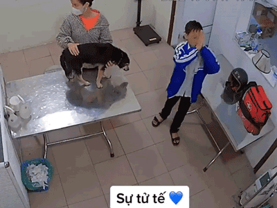 Đưa cún cưng vào phòng khám cùng mẹ, nam sinh có hành động bất ngờ khiến dân mạng thốt lên: Quá tử tế!