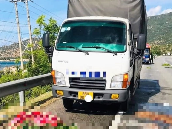 Dừng xe thay lốp bên đường, 2 người bị tông chết