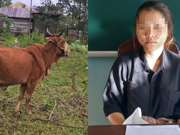 Thấy bò hàng xóm thả rông, thiếu nữ 19 tuổi thuê xe ba gác bắt đem bán
