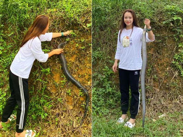 Dắt bạn gái 'yếu đuối' về ra mắt gia đình, chàng trai 'sốc tận óc' khi thấy cô nàng tay không giết rắn