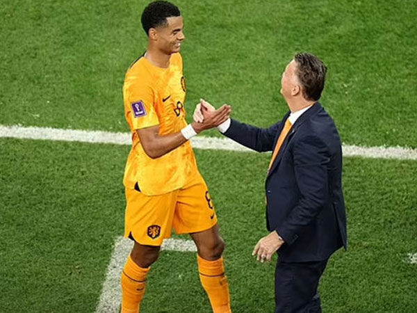'Thần tài' Gakpo và sự lão luyện của Van Gaal cho thấy Hà Lan rất đáng sợ