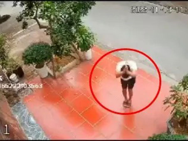 Đi hái trộm trái cây, thanh niên có hành động lạ trước nhà gia chủ