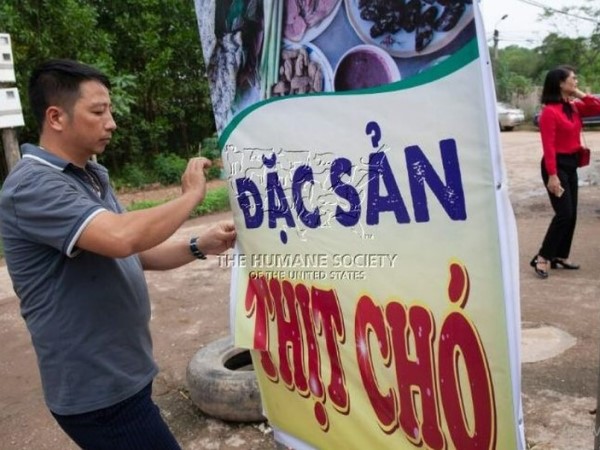 Hành trình chấm dứt nạn buôn bán thịt chó