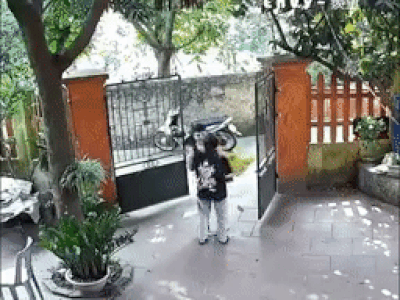 Trèo cổng suýt rách áo để tặng quà bạn gái, chưa kịp bày tỏ thanh niên liền chạy trối chết vì điều này