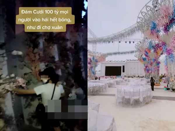 Đám cưới trăm tỷ kết thúc, người dân đổ xô ngắt hoa mang về