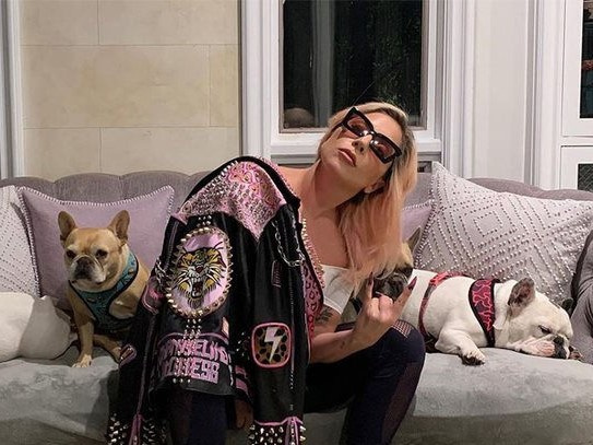 21 năm tù cho kẻ trộm chó cưng của Lady Gaga