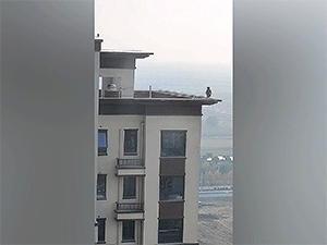 Người dân 'đứng tim' phát hiện bé trai chạy nhảy ngoài lan can trên nóc chung cư 28 tầng