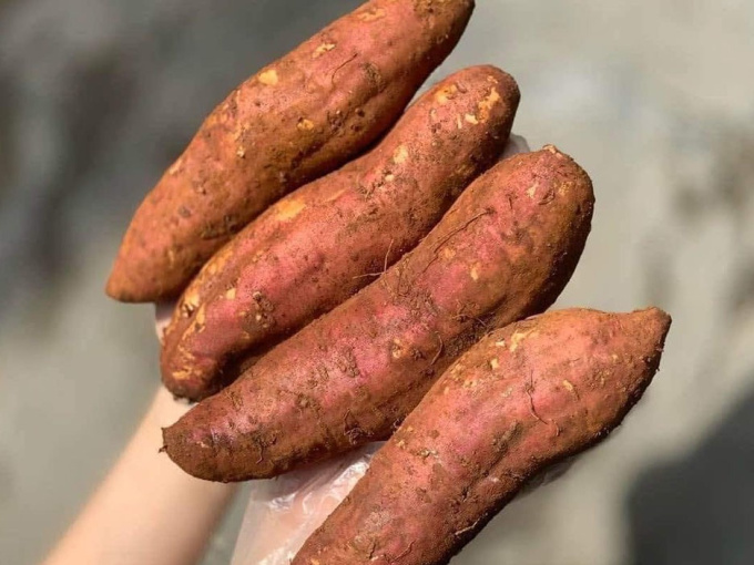 Trung Quốc khó tính ngang Mỹ, 1 củ khoai lang dính đất bị trả cả lô hàng