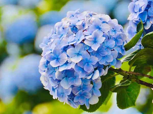 Những quý cô sinh ngày Âm lịch này mang số vượng phu