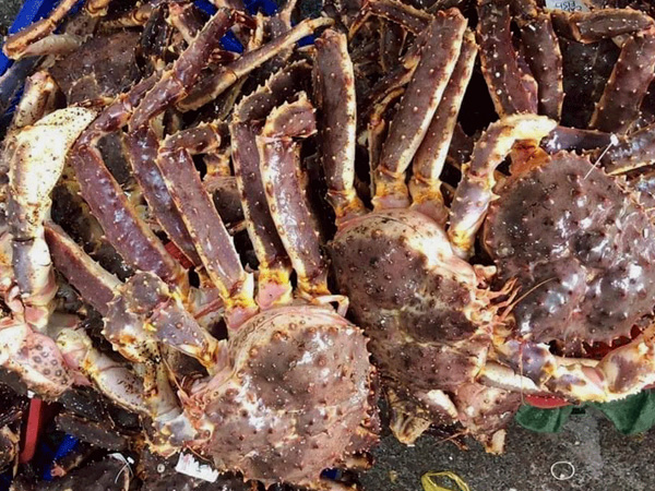 Hải sản cao cấp giá giảm mạnh, có loại rẻ hơn gần 1 triệu đồng/kg