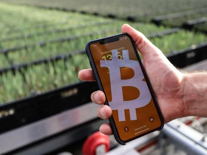 Thị trường tiền ảo 'sập', máy đào Bitcoin được tận dụng để... trồng hoa tulip