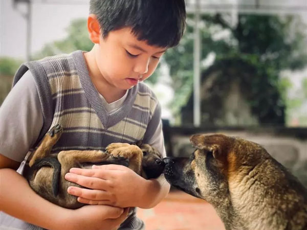 Làm văn tả bố 'xù xì và hơi bừa bộn', cậu bé lớp 5 khiến dân mạng nhiệt tình chấm 10 điểm vì: 'Quá cảm động!'