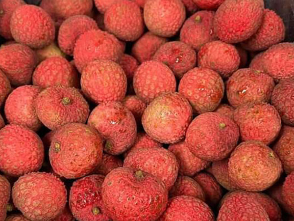 Cận Tết Dương lịch, vải thiều Úc gần 1,3 triệu đồng 1 ký