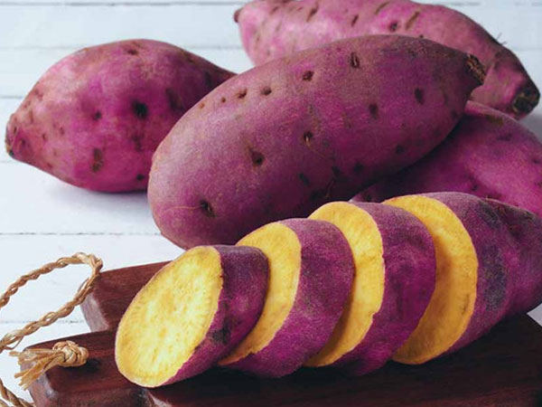 Mối liên hệ giữa khoai lang và khả năng ngừa ung thư
