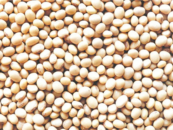 Ngành chăn nuôi đối mặt rủi ro tăng giá đậu tương