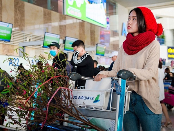 Khách gửi đào, mai qua đường hàng không dịp Tết cần lưu ý gì?
