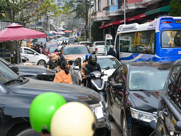 Du khách đổ về Tam Đảo vui chơi, dã ngoại ngày Tết Dương lịch