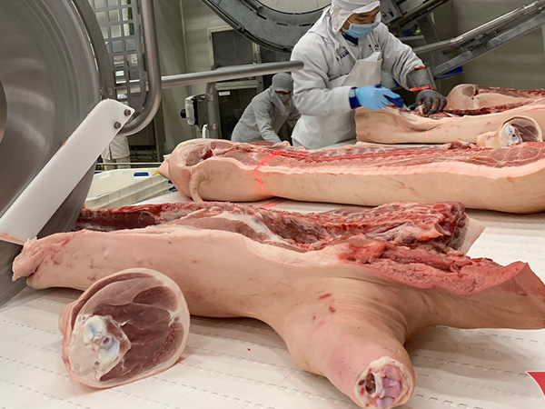 Sức mua yếu, giá lợn hơi giảm về 50.000 đồng/kg