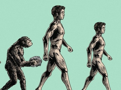 Báo New York Times ‘bị ném đá’ vì bài viết kêu gọi chọn bạn tình thấp lùn để cứu hành tinh