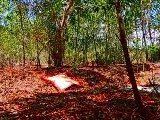Con trai và con dâu tử vong ở đồi chè, tư thế lạ khiến người cha không khỏi bàng hoàng
