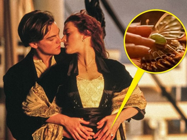 Loạt sạn Titanic được phát hiện sau 25 năm