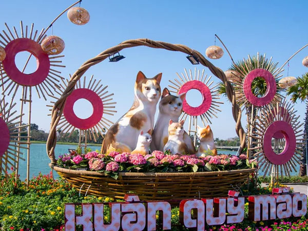 Đàn mèo ở Huế xuất hiện: Con được khen không tiếc lời, con bị chê giống chuột