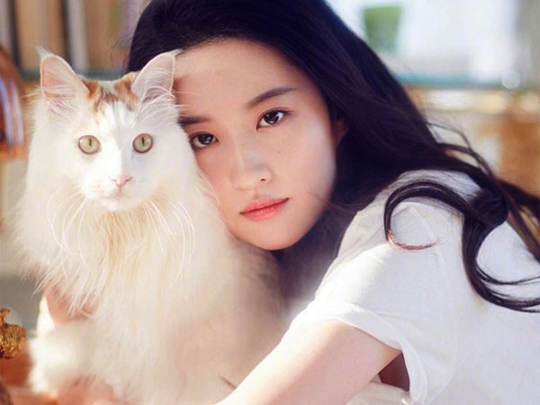 Lưu Diệc Phi sống độc thân cùng 16 con mèo, có bộ sưu tập xe hàng hiệu
