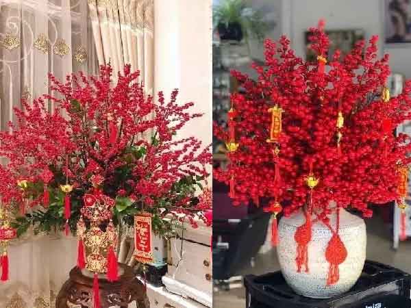 Trồng 3 cây phát lộc trong phòng khách, cả nhà giàu sang, con cháu được nhờ