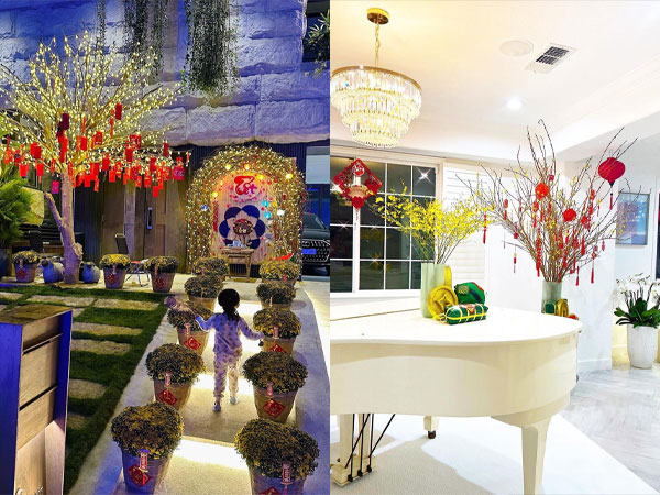 Phạm Hương, Quốc Trường và sao Việt trang hoàng mai, đào 'khủng' đón Tết