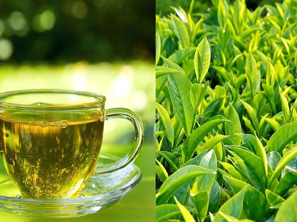 Loại nước uống triệu gia đình Việt ưa thích dịp Tết, nhưng ai không nên dùng?