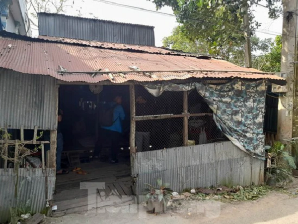 Hạo Nam đã về!