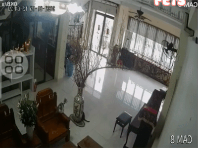 Chậu hoa đào đắt tiền chưng Tết bị vỡ tan tành, biết 'thủ phạm' nhưng gia chủ đành ngậm ngùi chấp nhận