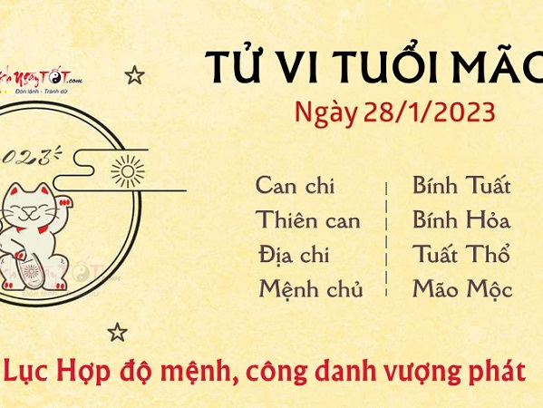 Tử vi Thứ 7 ngày 28/01/2023 của 12 con giáp: Mão đón tài lộc, Thìn tiêu hao tiền bạc