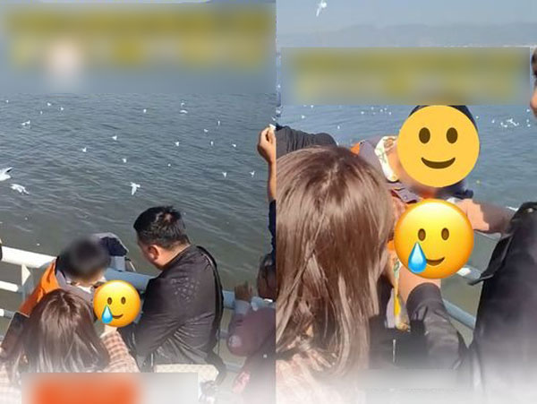 Lại một 'báo thủ' nhỏ tuổi khiến dân tình phẫn nộ: Đi thăm hải âu nhưng thay vì ném thức ăn, cậu nhóc nhét luôn chú chim tội nghiệp vào chiếc lọ dưới sự giúp đỡ của bố mẹ