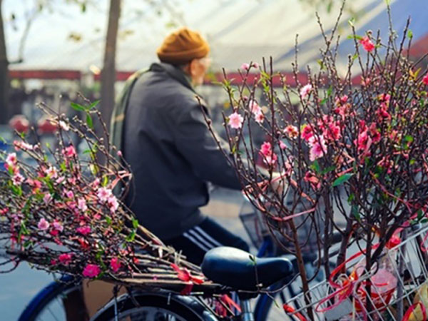 Tháng 2, khả năng rét đậm, rét hại còn xuất hiện ở vùng núi và trung du Bắc Bộ