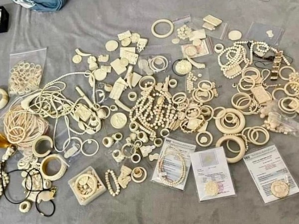 Hà Nội: Nam thanh niên bị bắt vì buôn bán trang sức làm từ ngà voi, móng hổ