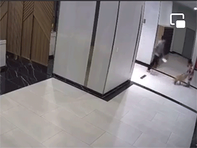 Clip: Phẫn nộ với hành động của thanh niên vừa thả chó không rọ mõm vừa hành hung người vô lý trong chung cư