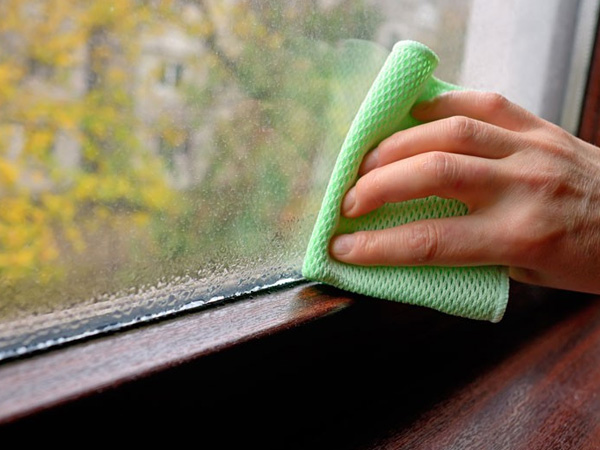 Cảnh giác với chất gây ung thư hàng đầu, độc gấp 68 lần thạch tín có mặt ở khắp nơi trong nhà khi trời nồm ẩm